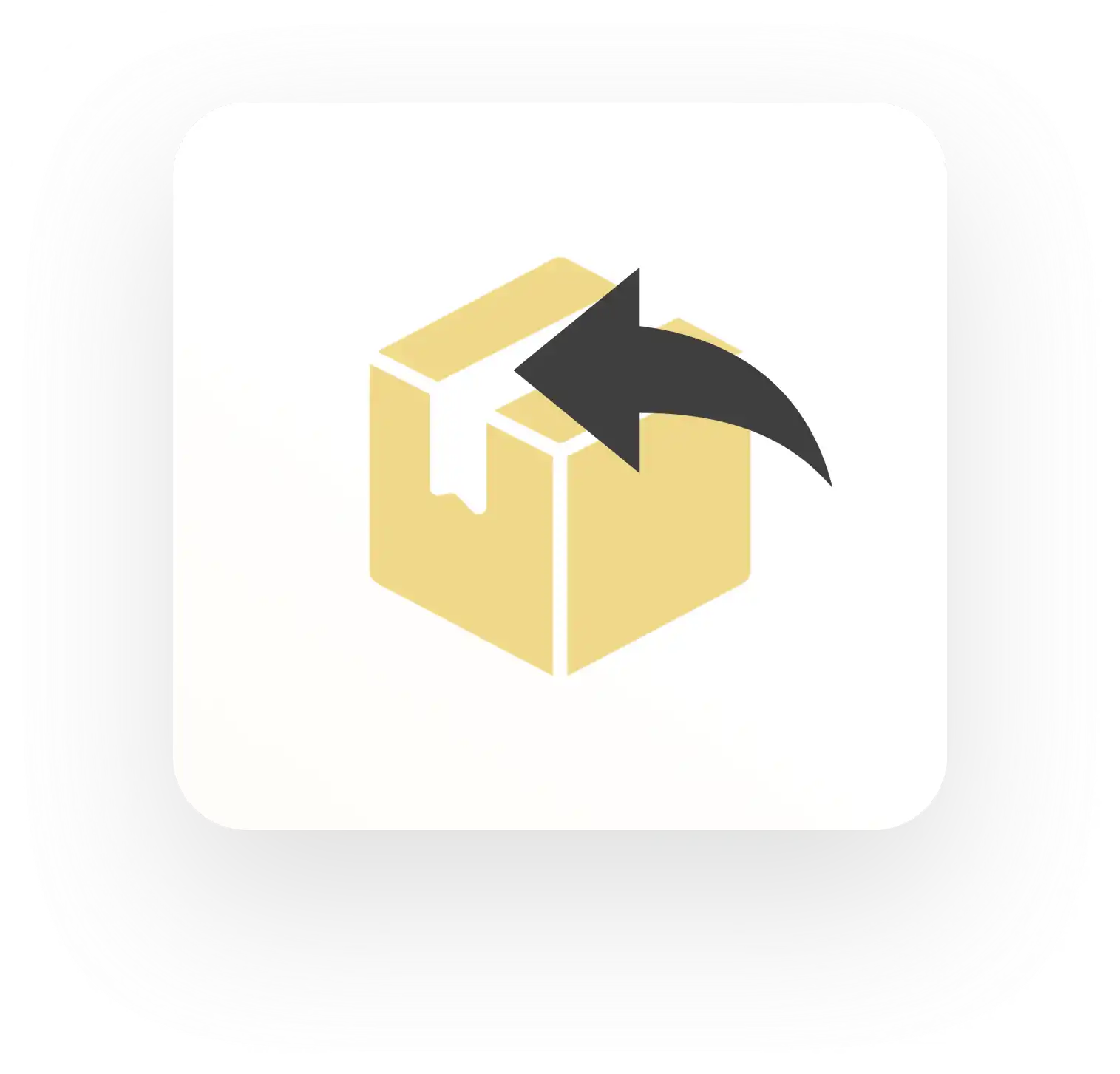 Rückgabe Icon