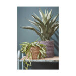 Dekokorb Braun Mica Decorations – 3-teiliges Set aus robustem Kunststoff in stilvollem Braun für vielseitige Anwendungen.